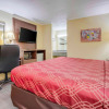 Отель Econo Lodge, фото 25