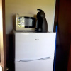 Отель Apartment With one Bedroom in La Trinité, With Wonderful sea View, Furnished Garden and Wifi - 100 m, фото 5