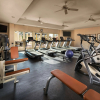Отель Tempe Mission Palms, a Destination by Hyatt Hotel, фото 14