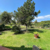 Отель Baia Sardinia - Villa Rose With 3 Rooms 187 Meters From the sea - Independent 10, фото 10
