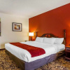 Отель Comfort Suites Mobile East Bay, фото 4
