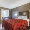 Отель Econo Lodge Inn & Suites, фото 2