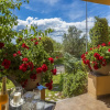 Отель Apartments Pekera, фото 24