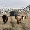 Отель Seljalandsfoss Cottage, фото 16