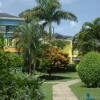 Отель Grand Pineapple Beach Negril, фото 10