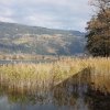 Отель Villa Müller - direkt am See, фото 14