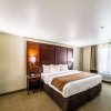 Отель Comfort Suites Grand Prairie - Arlington North, фото 12
