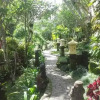 Отель Villa Sakti Ubud - Taman Sakti Resort, фото 22