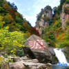 Отель Hangzhou Linan Old Maple Tree Valley-view Hostel, фото 10