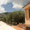 Отель Holiday Olive Trees, фото 10
