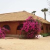 Отель Baobab Lodge, фото 37