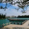 Отель Chengching Lakeside Resort, фото 5