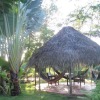 Отель Negril Yoga Centre, фото 48