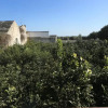 Отель Masseria Pittore, фото 8