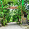 Отель Bali Jungle Resort, фото 1