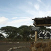 Отель Kimana Amboseli Camp, фото 25