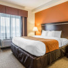 Отель Comfort Suites Atlanta Airport, фото 4