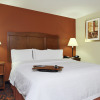Отель Hampton Inn Norfolk/Chesapeake (Greenbrier Area), фото 4