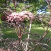 Отель Rolles Court, фото 24