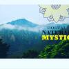 Отель Natural Mystic Hostal, фото 10