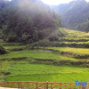 Отель Zhangjiajie Latitude 30 Degree North Farm Stay, фото 9