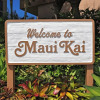 Отель Maui Kai 304, фото 1