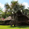 Отель Pacaya Samiria Amazon Lodge, фото 1