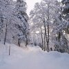 Отель Chalet De La Vue Des Alpes, фото 2