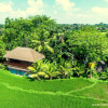 Отель Prashanti Ubud, фото 17