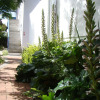 Отель Aqua Marine Guest House, фото 13