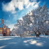 Отель Cosy Apartment in Altshausen Near Castle, фото 11