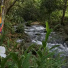 Отель Reserva Ecológica Copalitilla, фото 15