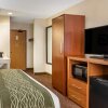 Отель Comfort Inn Okemos - East Lansing, фото 10