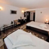 Отель Pension Popasul Domnesc, фото 6