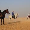 Отель The Farm - Hotel & Horse Riding, фото 35