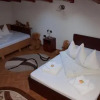Отель Pensiunea Dandu, фото 4