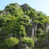 Отель Phong Nha Orient Hotel, фото 10