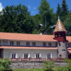 Отель Pensiunea Phoenix, фото 4