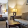 Отель Comfort Suites Cicero - Syracuse North, фото 33