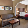 Отель Comfort Inn & Suites, фото 17