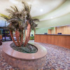 Отель Ramada Tropics Resort & Conf Center by Wyndham Des Moines, фото 2