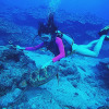 Отель Saipan Marine Dive & Guest House, фото 20