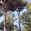Отель B&B Posidonia, фото 16