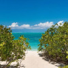 Отель Beach Enclave Turks & Caicos, фото 16