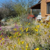 Отель Oro Valley Desert Casita Retreat, фото 4