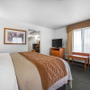 Отель Comfort Inn & Suites, фото 38