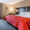 Отель Clarion Inn & Suites US 65 & Battlefield Road, фото 27