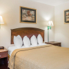 Отель Quality Inn Pell City I-20 exit 158, фото 4
