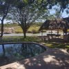 Отель Nyangombe Safari Lodge, фото 49