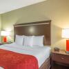 Отель Comfort Suites Locust Grove Atlanta South, фото 31